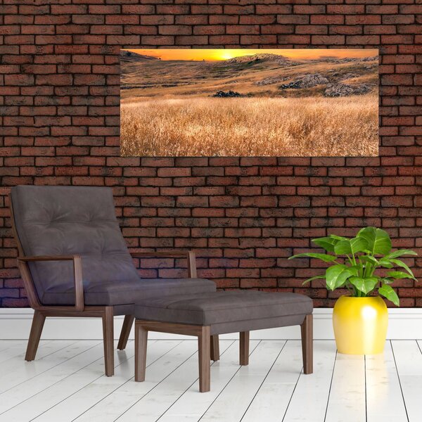 Slika polja (120x50 cm)