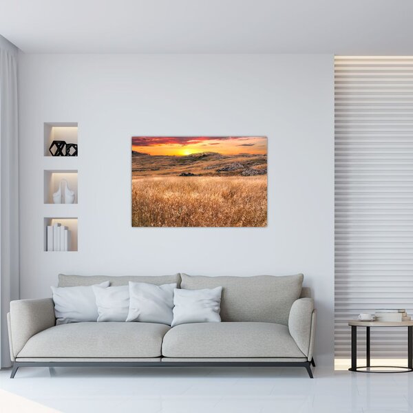 Slika polja (90x60 cm)