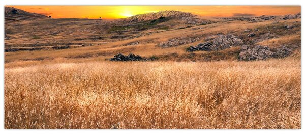 Slika polja (120x50 cm)