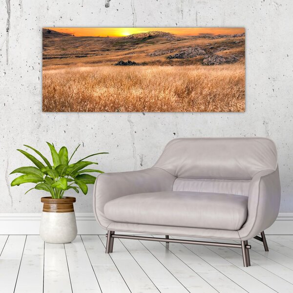 Slika polja (120x50 cm)