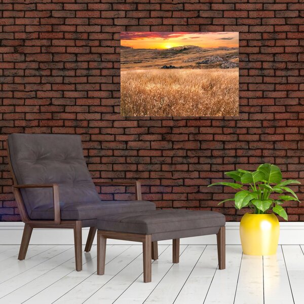 Slika polja (70x50 cm)