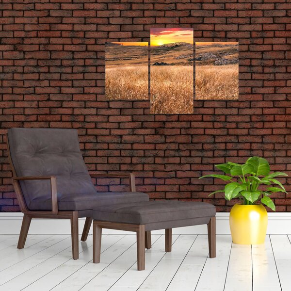 Slika polja (90x60 cm)