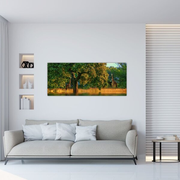Slika žirafe u divljini (120x50 cm)