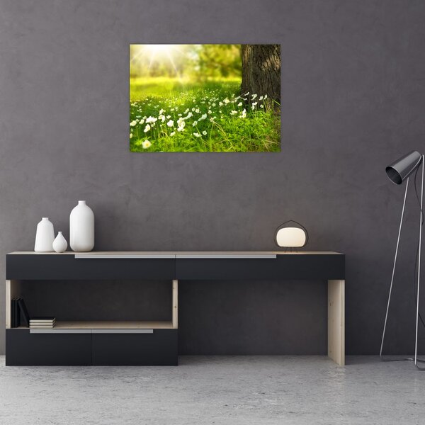 Slika proplanaka i cvijeća (70x50 cm)