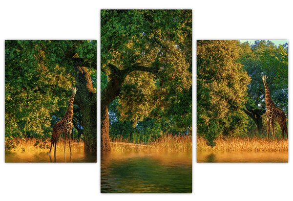 Slika žirafe u divljini (90x60 cm)