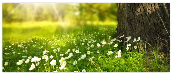 Slika proplanaka i cvijeća (120x50 cm)