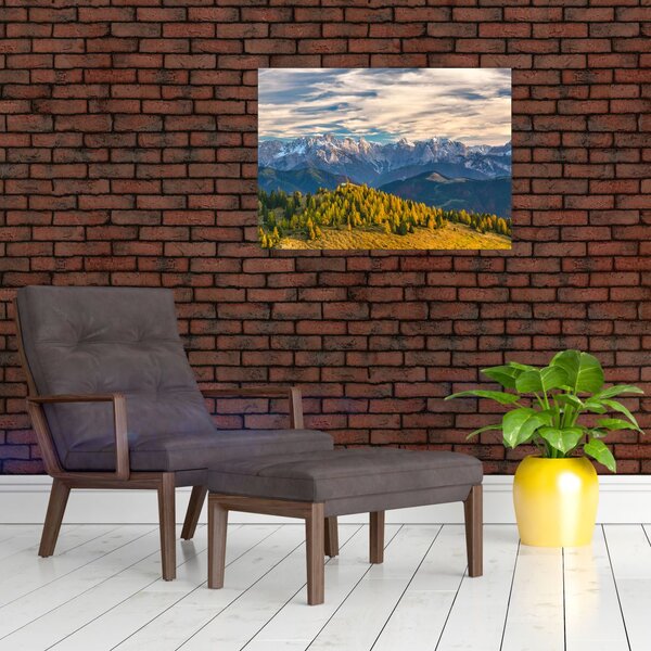 Slika - planinska panorama (70x50 cm)