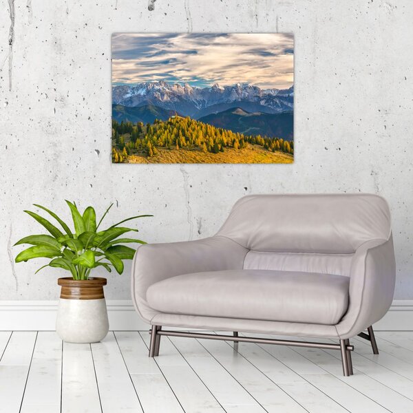 Slika - planinska panorama (70x50 cm)