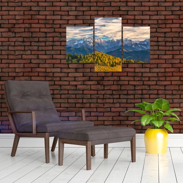 Slika - planinska panorama (90x60 cm)
