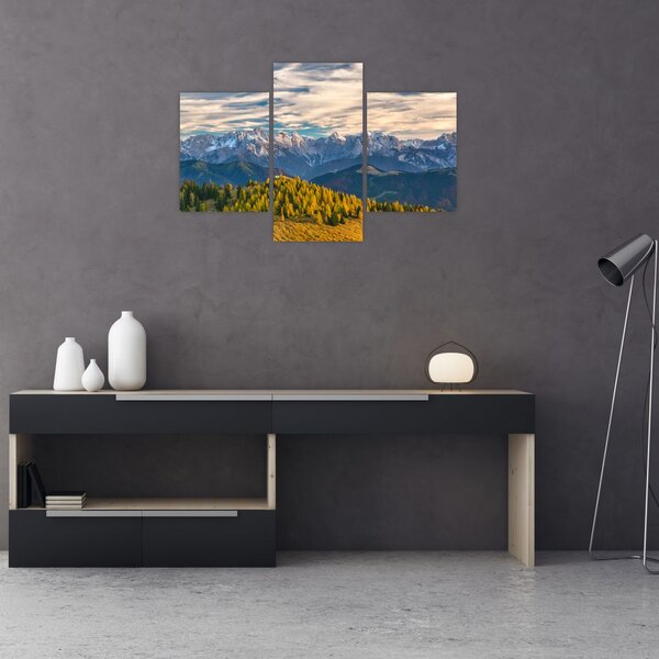 Slika - planinska panorama (90x60 cm)
