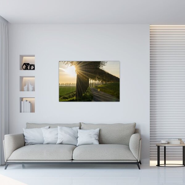 Slika aleja (90x60 cm)