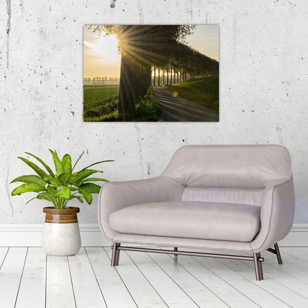 Slika aleja (70x50 cm)