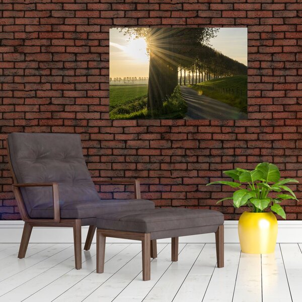 Slika aleja (90x60 cm)