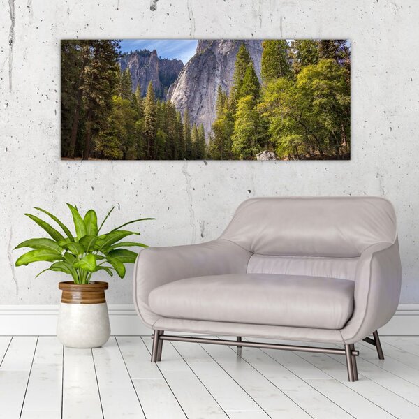 Slika stijena (120x50 cm)