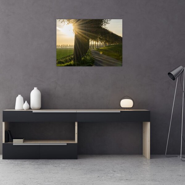 Slika aleja (70x50 cm)