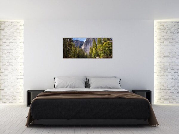 Slika stijena (120x50 cm)