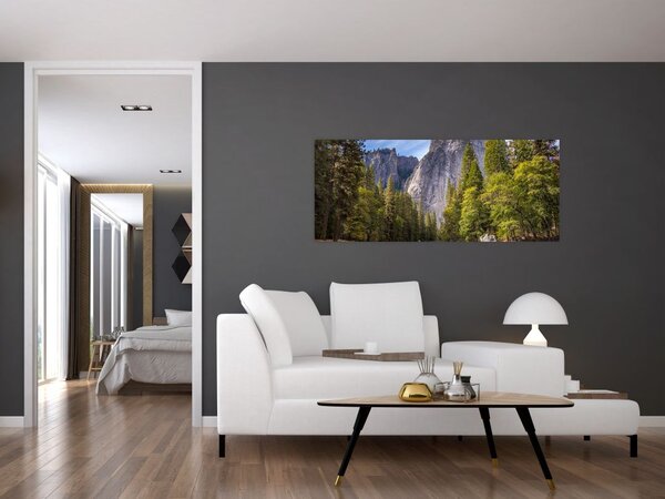 Slika stijena (120x50 cm)