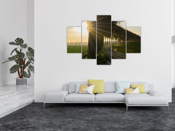 Slika aleja (150x105 cm)