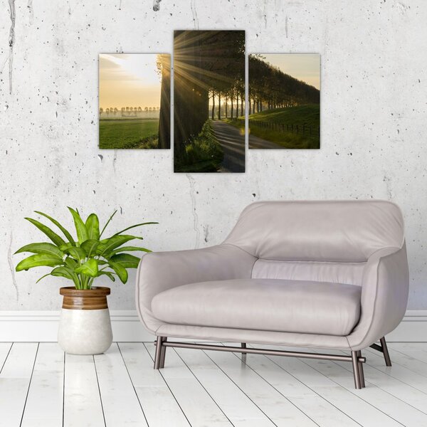 Slika aleja (90x60 cm)