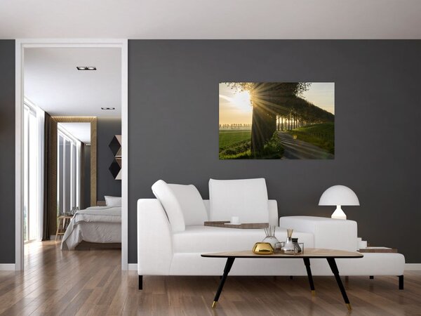 Slika aleja (90x60 cm)