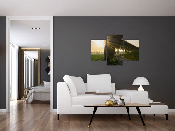 Slika aleja (90x60 cm)