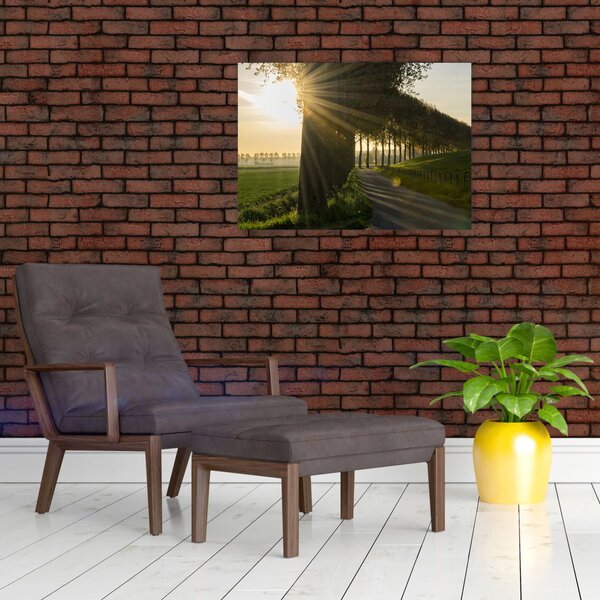 Slika aleja (70x50 cm)