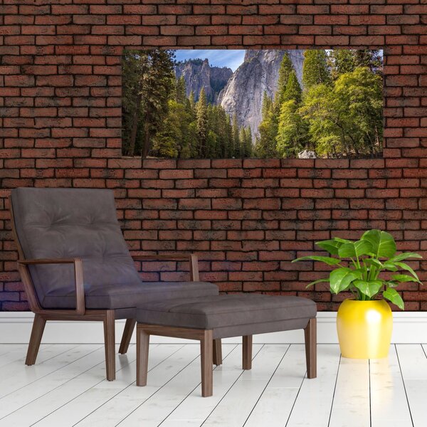 Slika stijena (120x50 cm)