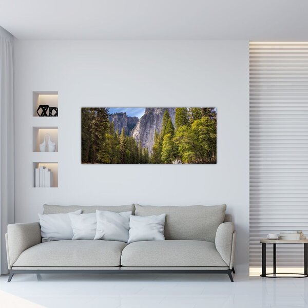Slika stijena (120x50 cm)