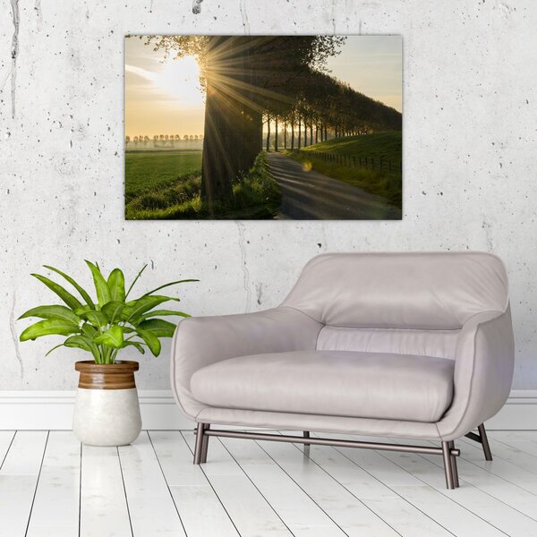 Slika aleja (90x60 cm)