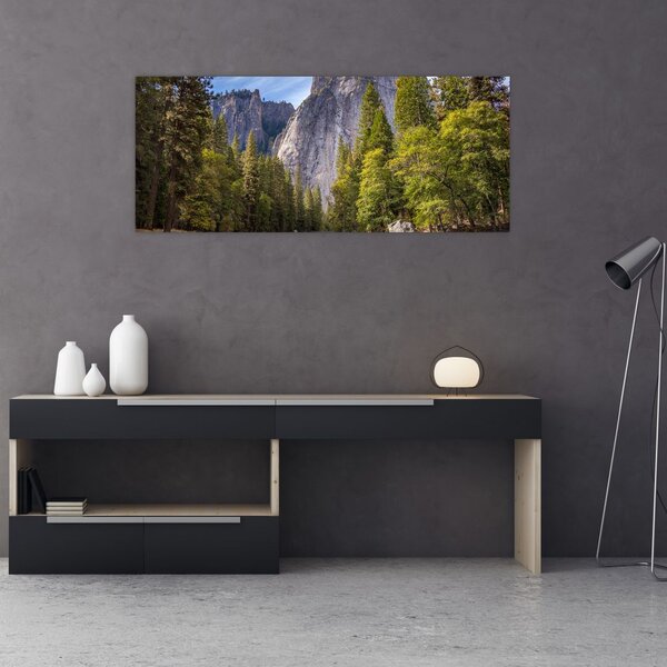 Slika stijena (120x50 cm)