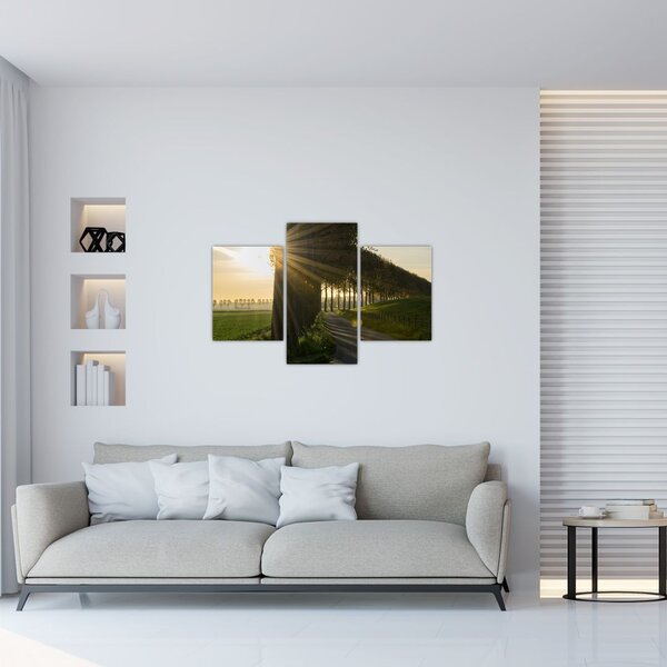 Slika aleja (90x60 cm)