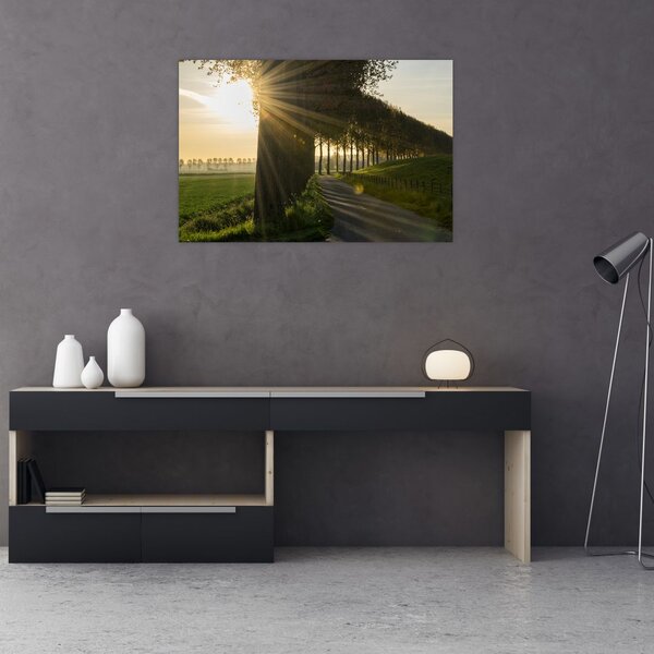 Slika aleja (90x60 cm)