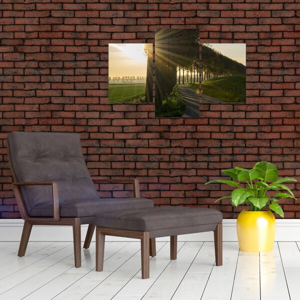 Slika aleja (90x60 cm)