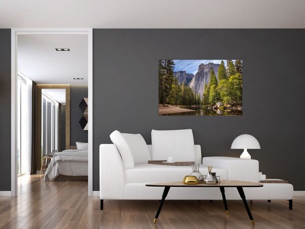 Slika stijena (90x60 cm)