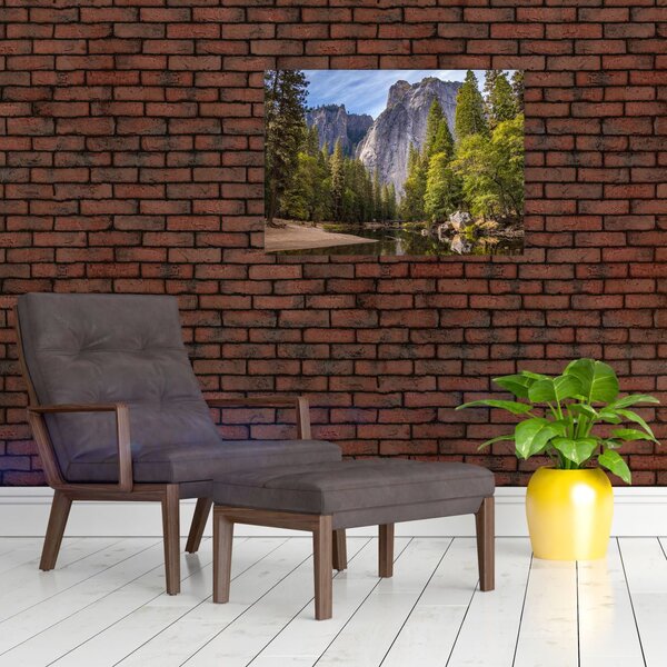Slika stijena (70x50 cm)