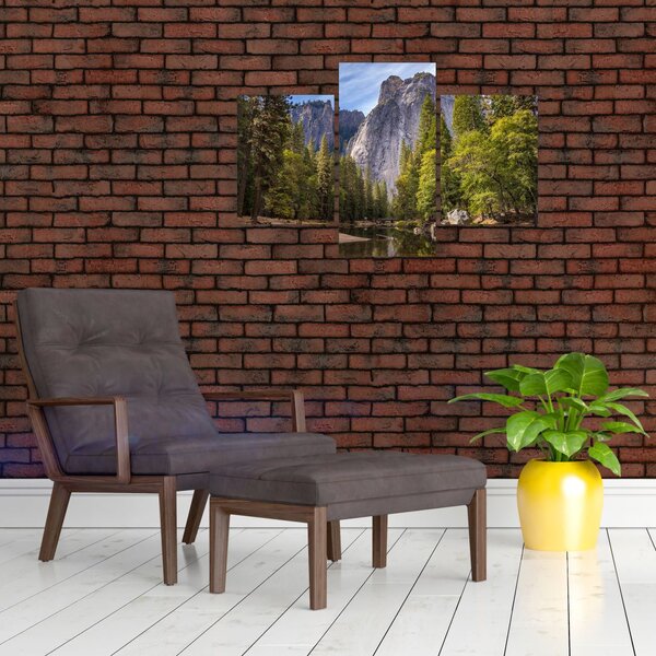 Slika stijena (90x60 cm)