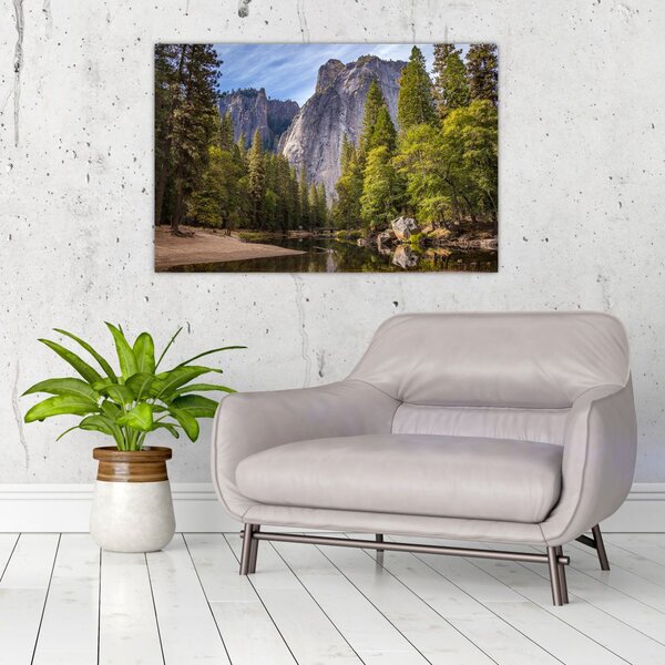 Slika stijena (90x60 cm)