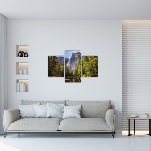 Slika stijena (90x60 cm)