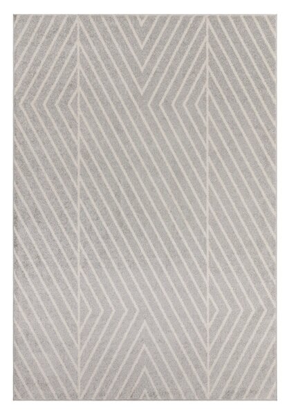Svijetlo sivi tepih 80x150 cm Muse – Asiatic Carpets