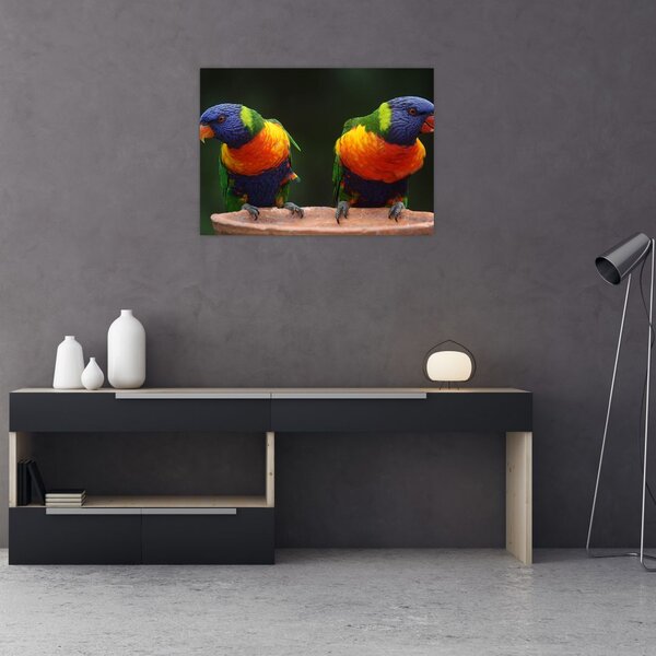 Slika papiga (70x50 cm)