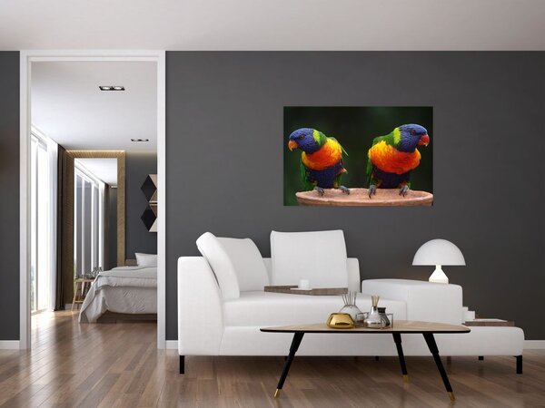 Slika papiga (90x60 cm)