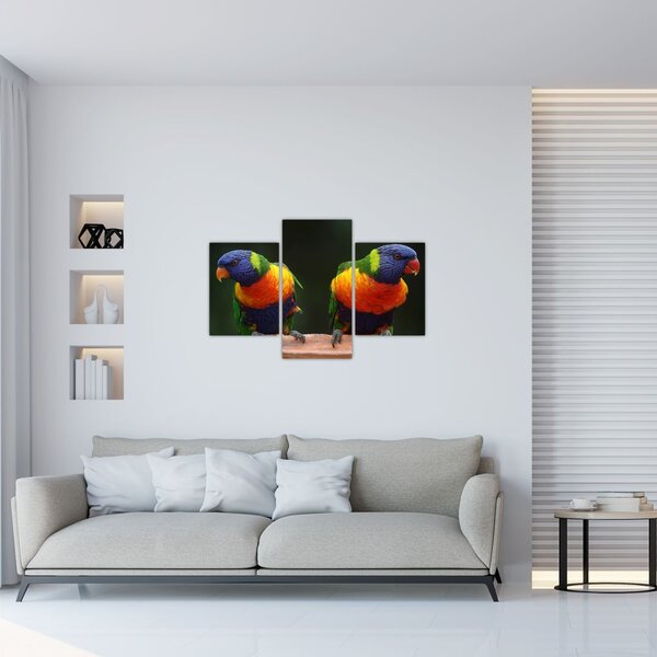 Slika papiga (90x60 cm)
