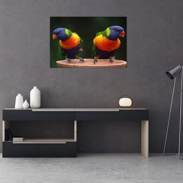 Slika papiga (90x60 cm)