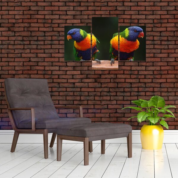 Slika papiga (90x60 cm)