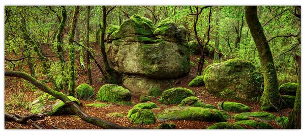 Slika čarobne šume (120x50 cm)
