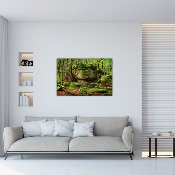 Slika čarobne šume (90x60 cm)