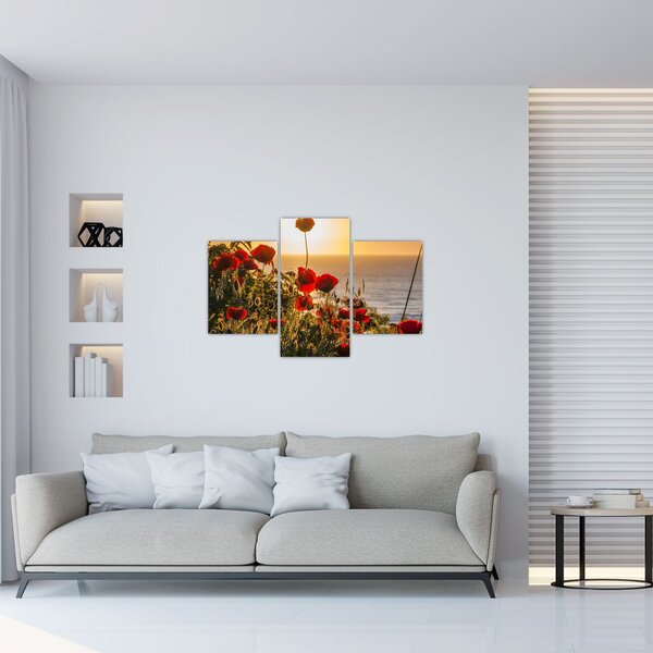 Slika zalaska sunca s makovima (90x60 cm)