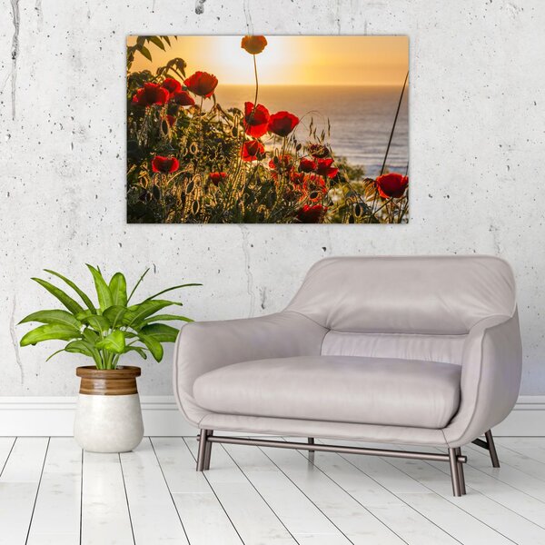Slika zalaska sunca s makovima (90x60 cm)