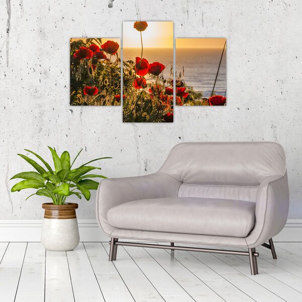Slika zalaska sunca s makovima (90x60 cm)