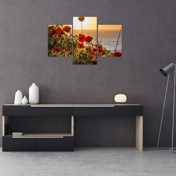 Slika zalaska sunca s makovima (90x60 cm)